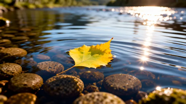 Nur ein gelbes Blatt auf dem Wasser